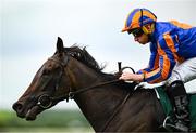 28 June 2025; Jockey Ryan Moore and mount Whirl after winning the Paddy Power Pretty Polly Stakes during day two of the Dubai Duty Free Irish Derby Festival at The Curragh Racecourse in Kildare. Photo by Seb Daly/Sportsfile