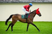 28 June 2025; Jockey Shane Foley and Higher Leaves go to post before the Paddy Power Pretty Polly Stakes during day two of the Dubai Duty Free Irish Derby Festival at The Curragh Racecourse in Kildare. Photo by Seb Daly/Sportsfile