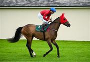 28 June 2025; Jockey Shane Foley and Higher Leaves go to post before the Paddy Power Pretty Polly Stakes during day two of the Dubai Duty Free Irish Derby Festival at The Curragh Racecourse in Kildare. Photo by Seb Daly/Sportsfile