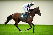 28 June 2025; Jockey Billy Lee and Magical Hope go to post before the Paddy Power Pretty Polly Stakes during day two of the Dubai Duty Free Irish Derby Festival at The Curragh Racecourse in Kildare. Photo by Seb Daly/Sportsfile