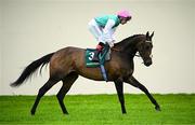 28 June 2025; Jockey Colin Keane and Kalpana go to post before the Paddy Power Pretty Polly Stakes during day two of the Dubai Duty Free Irish Derby Festival at The Curragh Racecourse in Kildare. Photo by Seb Daly/Sportsfile