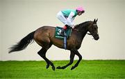 28 June 2025; Jockey Colin Keane and Kalpana go to post before the Paddy Power Pretty Polly Stakes during day two of the Dubai Duty Free Irish Derby Festival at The Curragh Racecourse in Kildare. Photo by Seb Daly/Sportsfile
