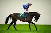 28 June 2025; Jockey Ryan Moore and Whirl go to post before the Paddy Power Pretty Polly Stakes during day two of the Dubai Duty Free Irish Derby Festival at The Curragh Racecourse in Kildare. Photo by Seb Daly/Sportsfile