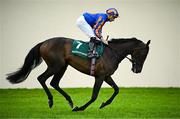 28 June 2025; Jockey Ryan Moore and Whirl go to post before the Paddy Power Pretty Polly Stakes during day two of the Dubai Duty Free Irish Derby Festival at The Curragh Racecourse in Kildare. Photo by Seb Daly/Sportsfile
