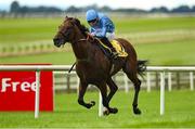 29 June 2025; Skukuza, with Ryan Moore up, on their way to winning the Colm McLoughlin Celebration Stakes during day three of the Dubai Duty Free Irish Derby Festival at The Curragh Racecourse in Kildare. Photo by Matt Browne/Sportsfile