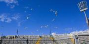 29 June 2025; Seagulls hovering over Hill 16 after the GAA Football All-Ireland Senior Championship quarter-final match between Armagh and Kerry at Croke Park in Dublin. Photo by Ray McManus/Sportsfile