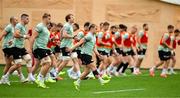 4 July 2025; Captain Craig Casey during an Ireland rugby captain's run at Mikheil Meskhi Stadium in Tbilisi, Georgia. Photo by Brendan Moran/Sportsfile