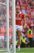 5 July 2025; Alan Connolly of Cork celebrates as teamate Tim O'Mahony scores his side's sixth goal during the GAA Hurling All-Ireland Senior Championship semi-final match between Cork and Dublin at Croke Park in Dublin. Photo by John Sheridan/Sportsfile