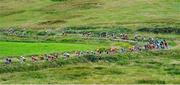9 July 2025; A general view of the peloton during Stage 2 of 2025 Junior Tour of Ireland from Ennis to Kilkee. Photo by Stephen McMahon/Sportsfile