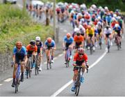 9 July 2025; A general view of the peloton during Stage 2 of 2025 Junior Tour of Ireland from Ennis to Kilkee. Photo by Stephen McMahon/Sportsfile