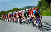 11 July 2025; A general view of the peloton during Stage 4 of 2025 Junior Tour of Ireland from Ennis to Kilfenora. Photo by Stephen McMahon/Sportsfile