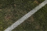 11 July 2025; A detailed view of the pitch before the SSE Airtricity Men's Premier Division match between Bohemians and Galway United at Dalymount Park in Dublin. Photo by Thomas Flinkow/Sportsfile