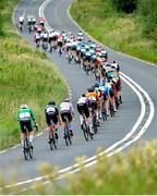 13 July 2025; A general view of the peloton during Stage 6 of 2025 Junior Tour of Ireland, Ennis. Photo by Stephen McMahon/Sportsfile