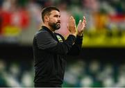 16 July 2025; Linfield manager David Healy after his side's defeat in the UEFA Champions League First Qualifying Round second leg match between Linfield and Shelbourne at Clearer Twist National Football Stadium at Windsor Park in Belfast. Photo by Ben McShane/Sportsfile
