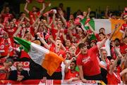 16 July 2025; Shelbourne supporters celebrate after the UEFA Champions League First Qualifying Round second leg match between Linfield and Shelbourne at Clearer Twist National Football Stadium at Windsor Park in Belfast. Photo by Stephen McCarthy/Sportsfile
