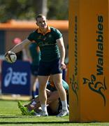 17 July 2025; Max Jorgensen during an Australia rugby squad training session at the National Rugby training centre in Ballymore, Brisbane, Australia. Photo by Brendan Moran/Sportsfile