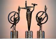 18 July 2025; A view of awards before the GPA Hurling and Camogie Legends Lunch at Croke Park in Dublin. Photo by Seb Daly/Sportsfile