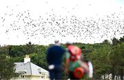 18 July 2025; A flock of birds fly over Rory McIlroy of Northern Ireland and his caddie Harry Diamond during day two of The 153rd Open Championship at Royal Portrush Golf Club in Portrush, Antrim. Photo by David Fitzgerald/Sportsfile