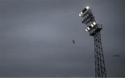 18 July 2025; A view of the floodlights during the first half of the Sports Direct Men’s FAI Cup second round match between Killester Donnycarney and Bohemians at Dalymount Park in Dublin. Photo by Seb Daly/Sportsfile