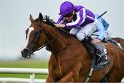 19 July 2025; Minnie Hauk, with Ryan Moore up, on their way to winning the Juddmonte Irish Oaks during day one of the Juddmonte Irish Oaks Weekend at The Curragh Racecourse in Kildare. Photo by Matt Browne/Sportsfile