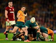 19 July 2025; Jake Gordon of Australia during the first test match between Australia and the British & Irish Lions at Suncorp Stadium in Brisbane, Australia. Photo by Brendan Moran/Sportsfile