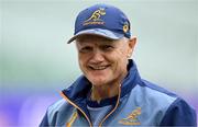 25 July 2025; Head coach Joe Schmidt during the Australia rugby squad captain's run at the MCG in Melbourne, Australia. Photo by Brendan Moran/Sportsfile