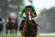 28 July 2025; Davy Crockett, with Mark Walsh up, on their way to winning the Galway Bay Hotel & Galmont Hotel Novice Hurdle during day one of the Galway Races Summer Festival at Ballybrit Racecourse in Galway. Photo by David Fitzgerald/Sportsfile