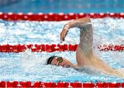 29 July 2025; Daniel Wiffin of Ireland competes in the heats of the Men’s 800m Freestyle during the World Aquatics Championships 2025 in Singapore. Photo by Ian MacNicol/Sportsfile