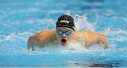 29 July 2025; Jack Casino of Ireland competes in the heats of the Men’s 200m Butterfly during the World Aquatics Championships 2025 in Singapore. Photo by Ian MacNicol/Sportsfile