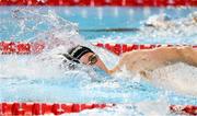 29 July 2025; Daniel Wiffin of Ireland competes in the heats of the Men’s 800m Freestyle during the World Aquatics Championships 2025 in Singapore. Photo by Ian MacNicol/Sportsfile
