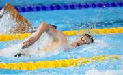 29 July 2025; Daniel Wiffin of Ireland competes in the heats of the Men’s 800m Freestyle during the World Aquatics Championships 2025 in Singapore. Photo by Ian MacNicol/Sportsfile
