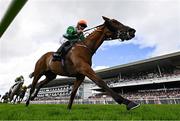 31 July 2025; Genuine Article with Seamie Heffernan up, on their way to winning the Rockshore Refreshingly Irish Handicap during day four of the Galway Races Summer Festival at Ballybrit Racecourse in Galway. Photo by Seb Daly/Sportsfile