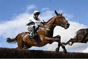 31 July 2025; Fine Margin, with Brian Hayes up, during the Guinness Open Gate Brewery Novice Steeplechase during day four of the Galway Races Summer Festival at Ballybrit Racecourse in Galway. Photo by Seb Daly/Sportsfile