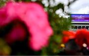 3 August 2025; A general view before the TG4 All-Ireland Ladies Football Intermediate Championship final match between Laois and Tyrone at Croke Park in Dublin. Photo by Shauna Clinton/Sportsfile