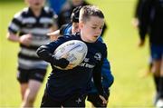 5 August 2025; Participants during a Bank of Ireland Leinster Rugby Summer Camp at Dundalk RFC in Louth. Photo by Ben McShane/Sportsfile