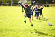 5 August 2025; Participants during a Bank of Ireland Leinster Rugby Summer Camp at Dundalk RFC in Louth. Photo by Ben McShane/Sportsfile