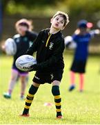 5 August 2025; Participants during a Bank of Ireland Leinster Rugby Summer Camp at Dundalk RFC in Louth. Photo by Ben McShane/Sportsfile