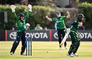 6 August 2025; Ireland wicketkeeper Amy Hunter, left, appeals for leg before wicket during match one of the Women's T20 International Series between Ireland and Pakistan at Clontarf Cricket Club in Dublin. Photo by Sam Barnes/Sportsfile
