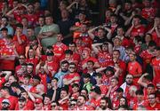 12 August 2025; Shelbourne supporters react during the UEFA Europa League Third Qualifying Round 2nd Leg match between Shelbourne and Rijeka at Tolka Park in Dublin. Photo by Ben McShane/Sportsfile