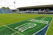 19 October 2013; A general view of Heineken Cup branding on the pitch ahead of the game. Heineken Cup 2013/14, Pool 2, Round 1, Leinster v Castres, RDS, Ballsbridge, Dublin. Picture credit: Brendan Moran / SPORTSFILE