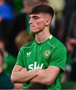 6 September 2025; A Republic of Ireland supporter reacts during the FIFA World Cup 2026 Group F qualifying match between Republic of Ireland and Hungary at the Aviva Stadium in Dublin. Photo by Ben McShane/Sportsfile