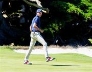 7 September 2025; Mason Howell of USA reacts to making a birdie putt to win the 15th hole during day two of the 50th Walker Cup at Cypress Point Club in California, USA. Photo by Brian Spurlock/Sportsfile