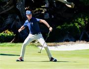 7 September 2025; Mason Howell of USA reacts to making a birdie putt to win the 15th hole during day two of the 50th Walker Cup at Cypress Point Club in California, USA. Photo by Brian Spurlock/Sportsfile