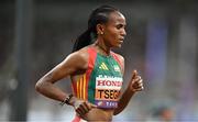 13 September 2025; Gudaf Tsegay of Ethiopia competing in the women's 10,000m final during day one of the World Athletics Championships Tokyo 2025 at Japan National Stadium in Tokyo, Japan. Photo by Sam Barnes/Sportsfile