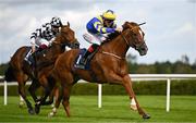 13 September 2025; Rahmi, with Rory Mulligan up, on their way to winning the Irish Stallion Farms EBF Sovereign Path Handicap during day one of the Irish Champions Festival at Leopardstown Racecourse in Dublin. Photo by Seb Daly/Sportsfile