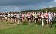 20 October 2013; A general view of the start of the Senior Girl's race in the Gerry Farnan Cross Country 2013. Phoenix Park, Dublin. Picture credit: Ramsey Cardy / SPORTSFILE