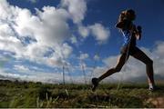20 October 2013; A general view of a competitor during the U16 Girl's race in the Gerry Farnan Cross Country 2013. Phoenix Park, Dublin. Picture credit: Ramsey Cardy / SPORTSFILE