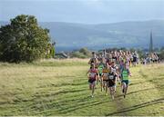20 October 2013; A general view of competitors during the Men's Senior race in the Gerry Farnan Cross Country 2013. Phoenix Park, Dublin. Picture credit: Ramsey Cardy / SPORTSFILE