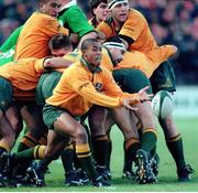 23 November 1996; George Gregan, Australia. International Friendly, Ireland v Australia, Lansdowne Road, Dublin. Picture credit: Brendan Moran / SPORTSFILE