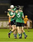 24 October 2013; Matt McCaffrey, left, and Barry Aird, right, Lucan Sarsfields celebrate victory with their team-mates at the end of the game. Dublin County Senior Club Hurling Championship, Semi-Final, Lucan Sarsfields v Craobh Chiarain, Parnell Park, Dublin. Picture credit: Barry Cregg / SPORTSFILE